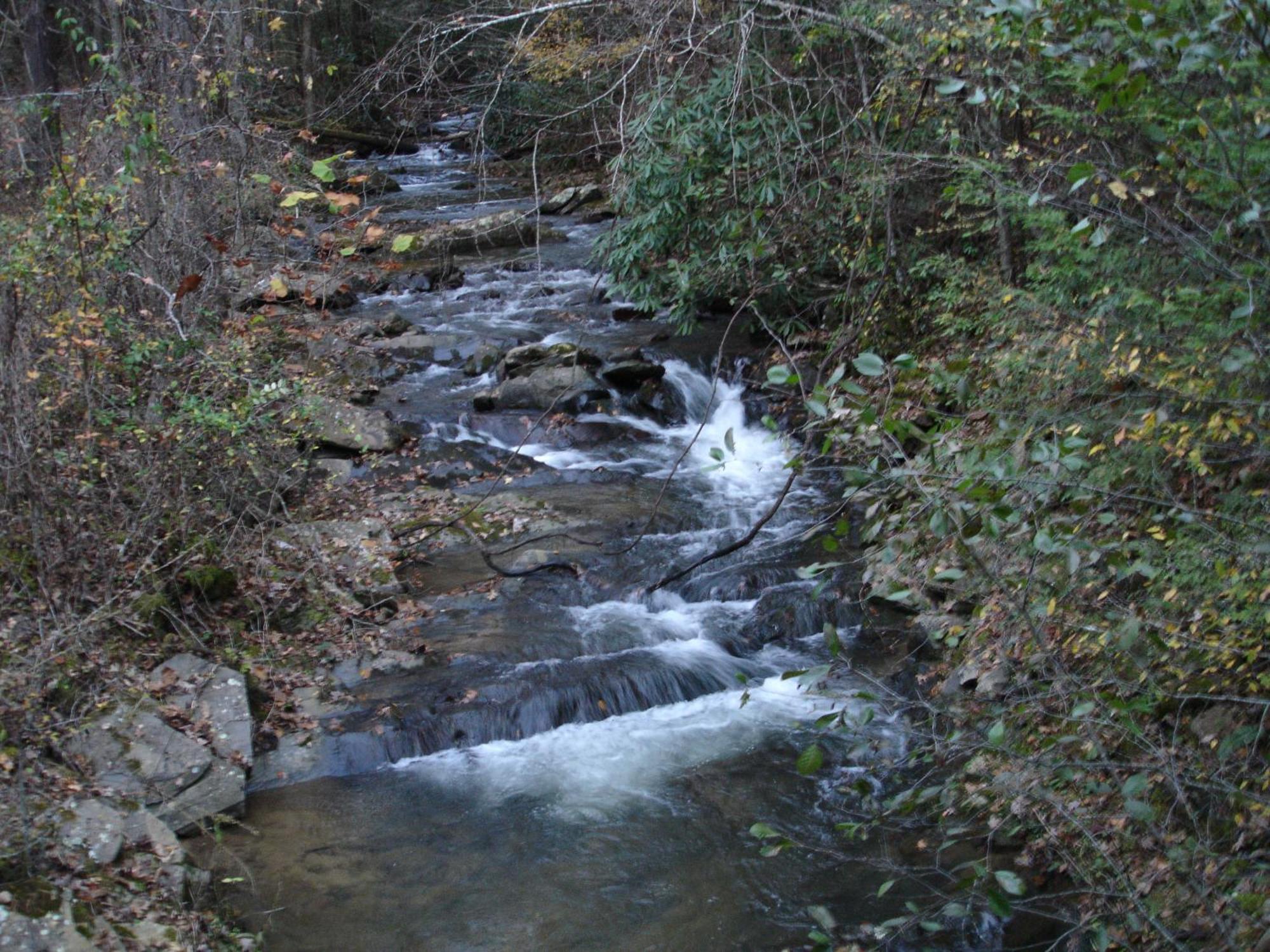 Stairway To Heaven, Breathtaking Mtn Views Indoor Pool & Hot Tub Apartment Gatlinburg Exterior foto